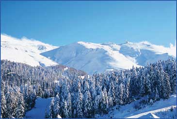Plomb du Cantal